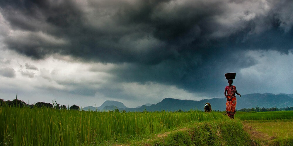 Woman in field before monsoon, Purulia, India