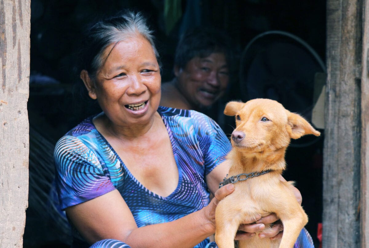 Cambodia has one of the highest dog-human ratios in the world