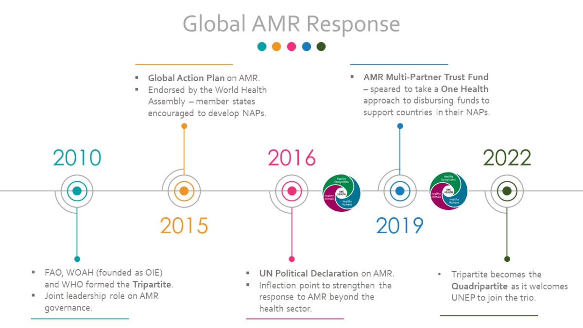 Historical timeline of some aspects of the AMR response at the global level.