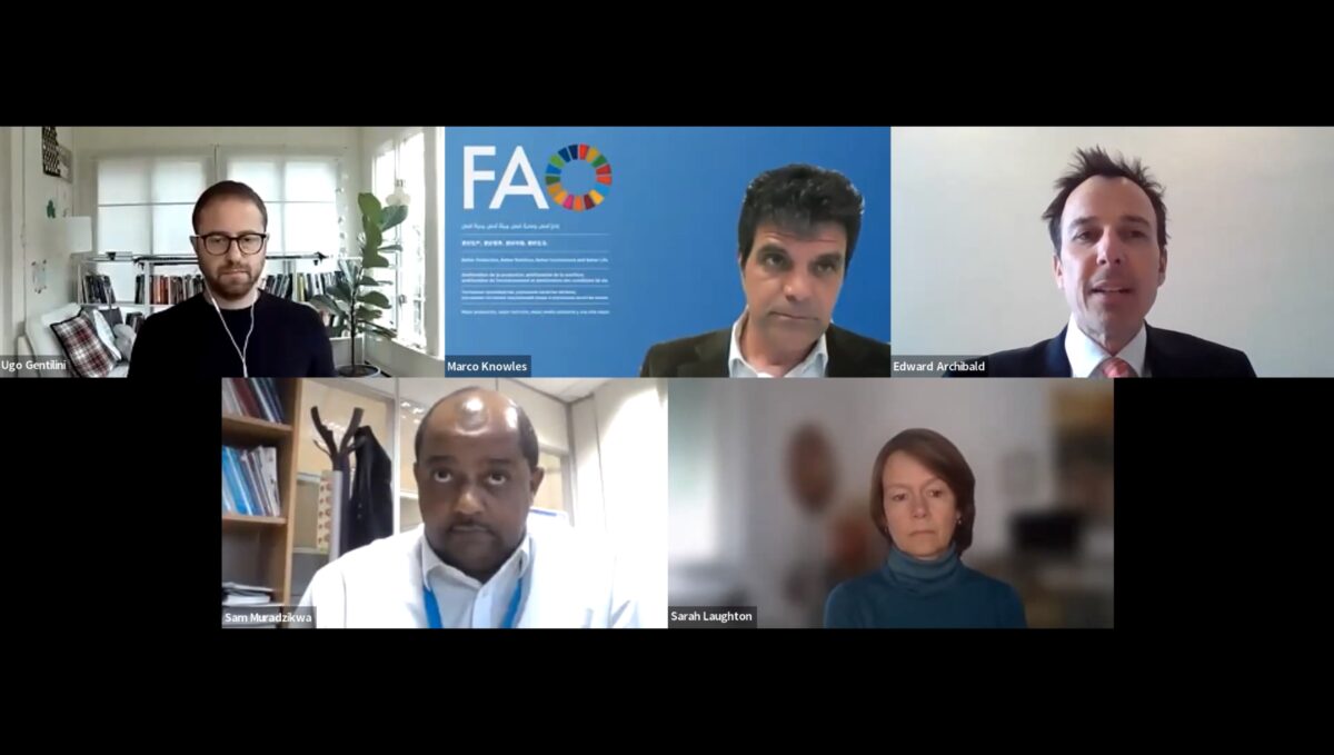 Screenshot of the panellists and moderator of the webinar held on 24 March 2022
